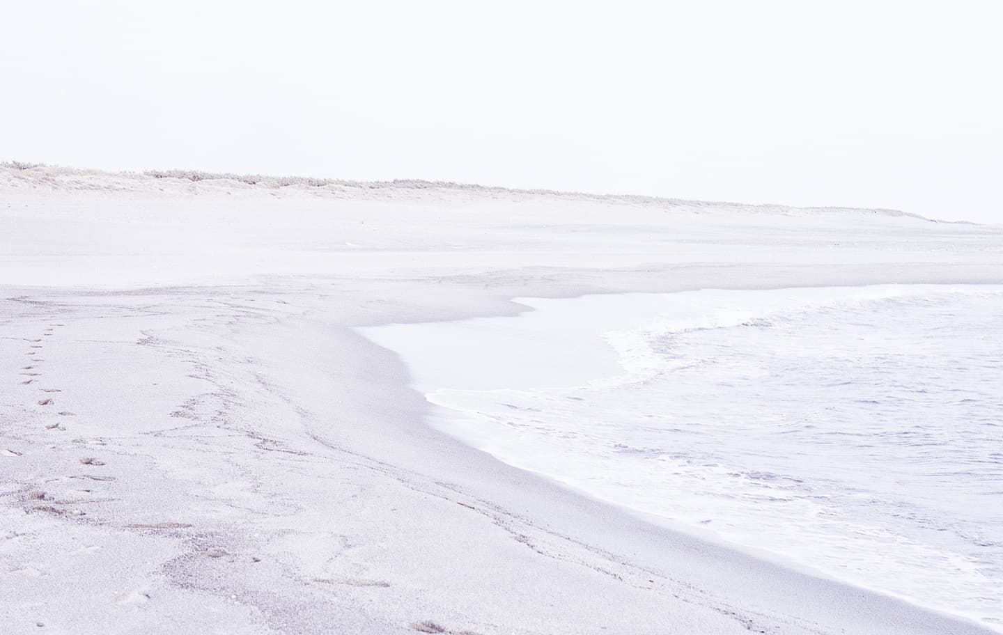 故郷・中田島砂丘への敬意を込めて。あの日、私の心を動かした淡く優しい光の記憶